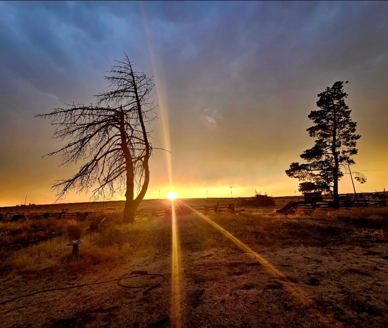 Sunset glowing between trees at Horseshoe House Ranch