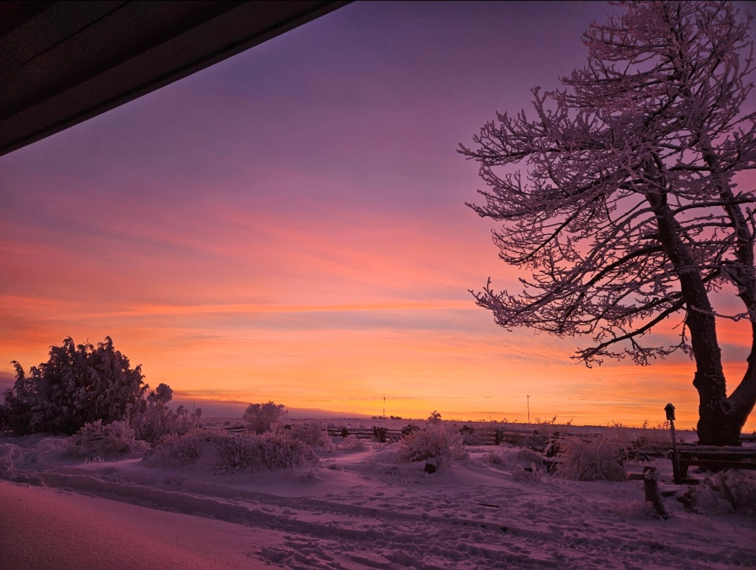 Pink winter sunrise over the ranch